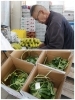 果物は入荷してから追熟して最適品質で納品します「野菜・果物卸小売 有限会社中村商店」