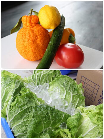 中村商店の葉物はシャキッと元気!「野菜・果物卸小売 有限会社中村商店」