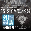 RSダイヤモンドSI