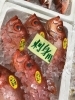 「魚魚市場鮮魚コーナーおすすめは「ヤリイカ」です♪」