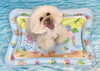 まっちゃちゃん「波とわんこ🌊」