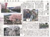 白糸浜神社で『植木市』「【舞鶴市民新聞・発行案内】  4/10(金) 第3405号 [カラー版]」