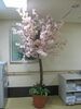 「さぁ、花見だ♪　 高住センター　 老人ホーム見学情報　（寝屋川　枚方　交野　守口　門真　大東　四條畷）」