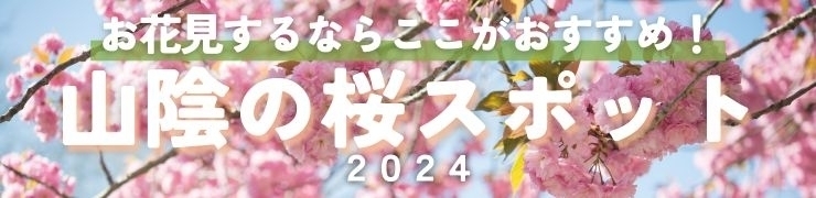 雲南・松江・米子周辺の　桜イベント情報！
