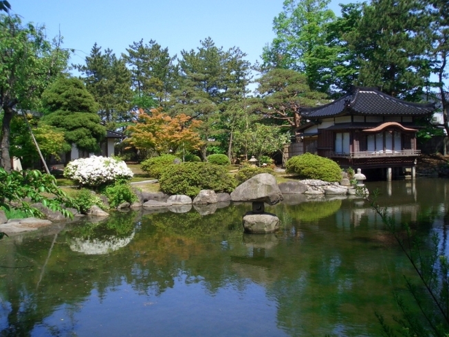 「生地温泉たなかや」しみじみと味わう日本海の旬。広大な日本庭園の中にある宿。
