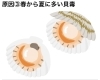 「牡蠣にあたる、とは？」