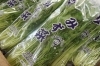 JAほこた なだろう 「鉾田市産野菜の詰合わせセット」 ほか | ふるさと