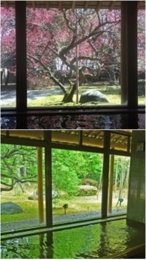 生地温泉たなかや ホテル 旅館 まいぷれ 黒部 入善 朝日