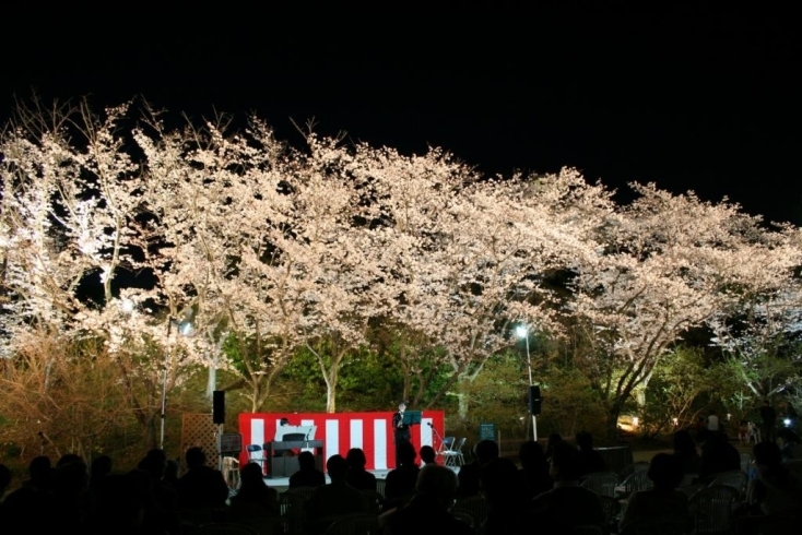 「県内最多!！　6７種類の桜の競演  さくらまつり　4／５～29の土・日・祝日 4月５日（土）・６日（日）・1２日（土）・1３日（日）は夜間開園」