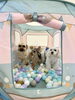 みんなでボールプール「ましゅまろ幼稚園🐾新入園児さん」