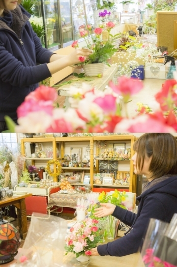 新発田 胎内 聖籠 まいぷれ