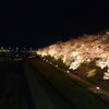「幻想的☆ふくみつ千本桜(*^^*)」