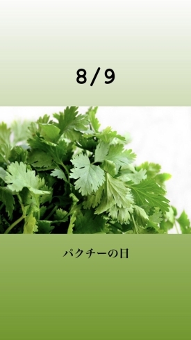 8/9 パクチーの日「8月9日日曜日は、『パクチーの日』です。本日のおすすめmenu✨焼魚定食……850円(ホッケの一夜干し)です。漁協の食堂でお魚ランチはいかがですか？」