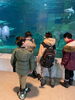 色々な海の生物🐟「お出掛けイベント【札幌市北区篠路　児童発達支援　放課後等デイサービス】」