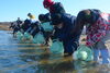 「【サンデーいわふね】3月1日号の主な内容は…」