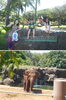 「MY HAWAII VOL.4」