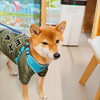 まる「今日のお友達」