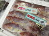 「魚魚市場鮮魚コーナーおすすめは「サバ・イトヨリ」です♪」