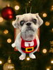 「Dog salon mofu mofu　余市町」