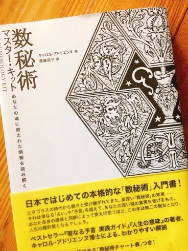 数秘術は占いではなく統計学です「新しいメニュー誕生します」