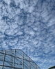 当園ハウスからみた空「滋賀県湖南市三雲　イチゴ農園こひろファーム　いちごの花が咲き始めました」