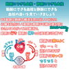 循環器内科医が血栓を解説「動脈と静脈にできる血栓の違いを絵ぶろぐで解説しました【尼崎・内科】」