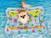 きな「波とわんこ🌊　スタッフ犬編」