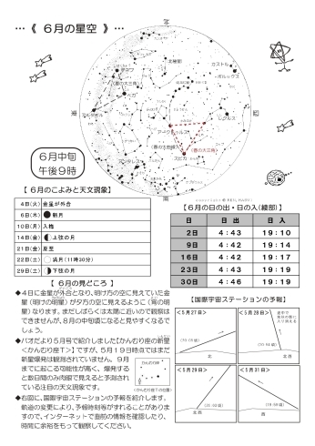 「苔テラリウム作ってみませんか！？【パオだより2024年6月号】」