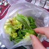 「山菜のおすそわけ。山菜の女王「こしのあぶら」！?＼(^o^)／」