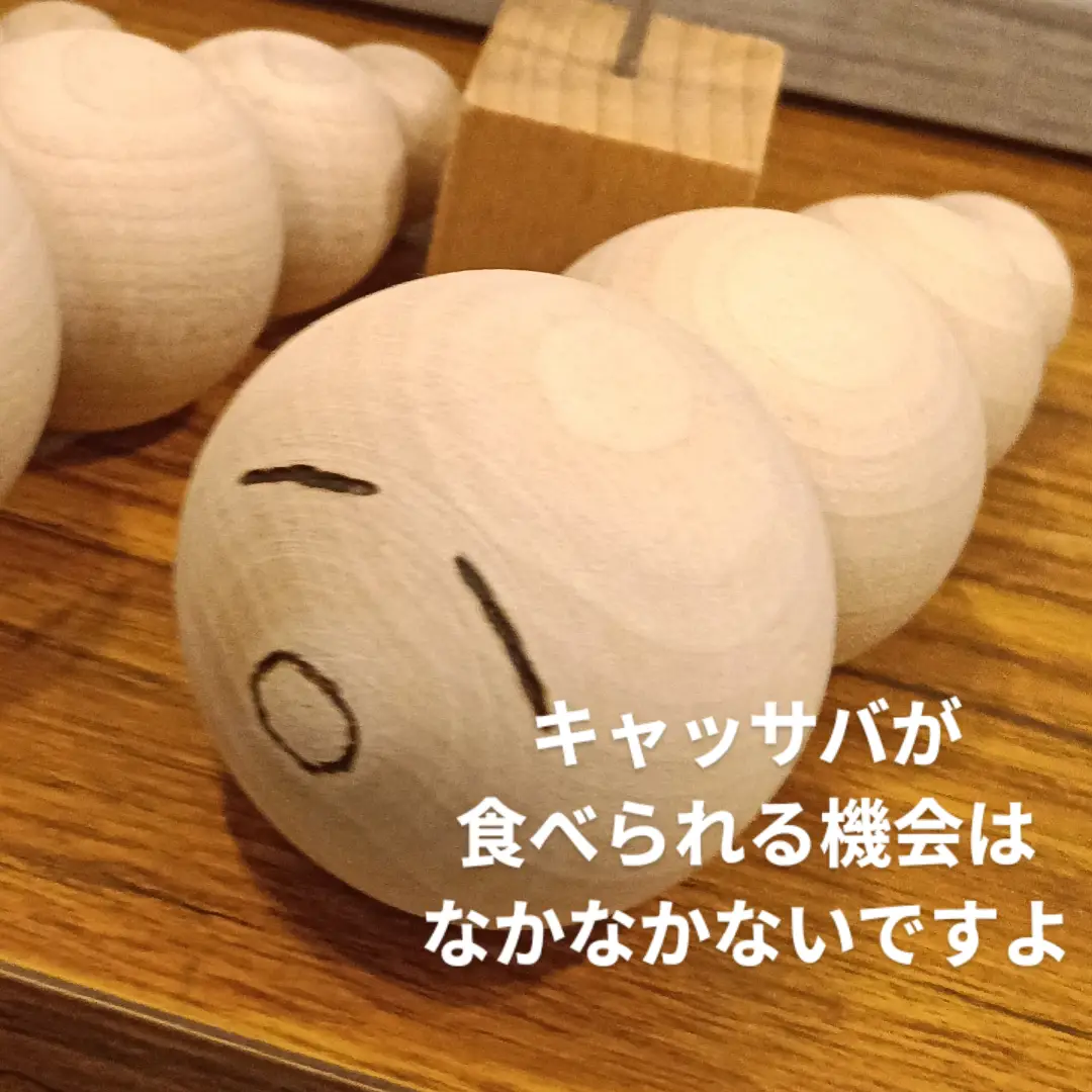 芋なんです。じゃがいもみたいに使って下さい。「キャッサバ！　第3回八王子産キャッサバ直売会　10時〜なくなり次第終了。」
