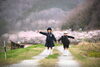 お姉ちゃんと一緒に桜ロケ♪　楽しかったね！「桜ロケーション撮影は前写しがおススメです(^^♪」