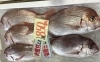 「魚魚市場鮮魚コーナーおすすめは「イトヨリ」です♪」