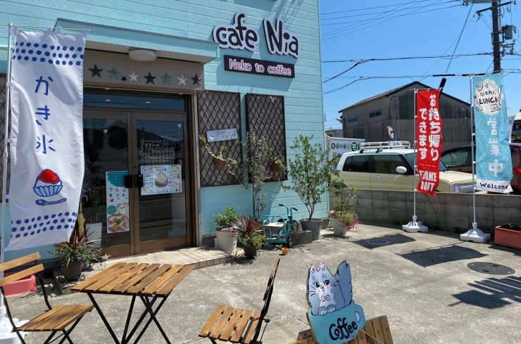 Cafe Nia ニア カフェ 喫茶店 まいぷれ 加古川市