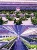「株式会社YASAI」