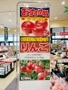 「美味しい《リンゴ》の季節になりました✨」