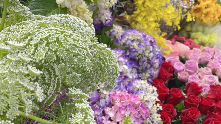 切り花もりもり入荷〜！！「【お知らせ】」