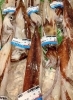 「本日5月16日のおすすめ！　苫小牧産ホッキ、さしみつぶ、函館産ヤリイカ、せたな産縞ぞい、紅鮭カマ500gなど入荷しております」