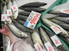 舞鶴近海で獲れた新鮮魚直売！「国産本マグロの柵がずらり！鳥取県産マカレイや京都府産の鮮魚も入荷」