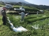 作物の生育状況の確認、勉強会の様子「御所市 地域農業再生協議会」