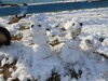 可愛い雪だるまができたよ💗「雪で遊んだよ♪」