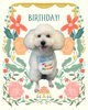 「Dog salon mofu mofu　余市町」