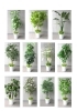 空間に彩りを 人工観葉植物のレンタルサービス 株式会社 カエツクリーンサービスのニュース まいぷれ 新発田 胎内 聖籠