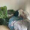 「Tシャツ1500yenセール開催中！！写真のTシャツ全部1500yenです✨ぜひ店頭へ♪」