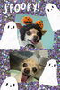 「Dog salon mofu mofu　余市町」