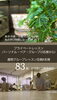 「「プライベートレッスン」(パーソナル・ペア・グループ3名様から)それぞれのご希望レッスンをオーダーメイド致します🌹✨.ﾟ･*ご不安なくお寛ぎ下さい🌹✨.ﾟ･*硬い方へもおすすめです【福島市のヨガスタジオ/都度払い/プライベートレッスンあり】」