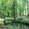 森の植物園へようこそ