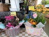 「ハロウィンにおすすめの商品あります。季節の花やグリーンは、フローリストたかの。」