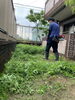 草刈り作業【日進市便利屋 草刈り】 | 住まいの便利屋 たま屋の 