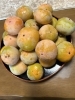 「今日は霜降（そうこう）」