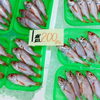 「魚魚市場鮮魚コーナーおすすめは「バナメイエビ・赤ムツ」です♪」
